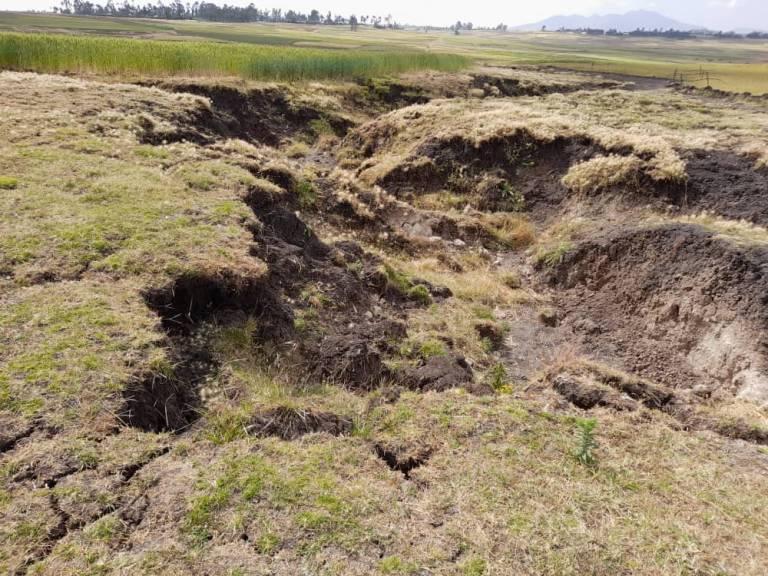 Land degradation
